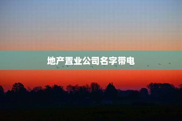 地产置业公司名字带电