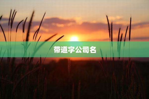 带道字公司名