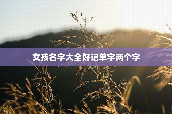 女孩名字大全好记单字两个字