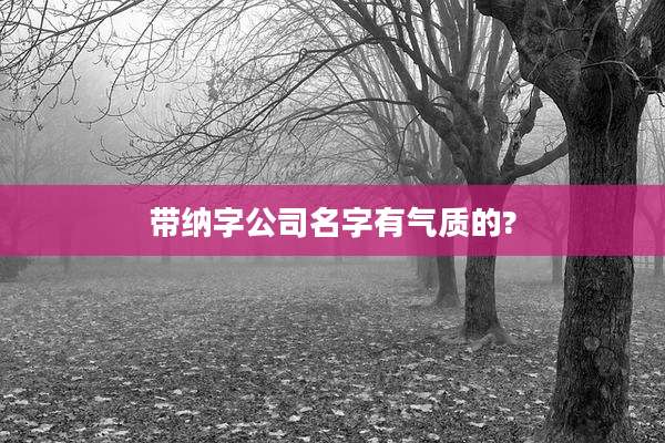 带纳字公司名字有气质的?