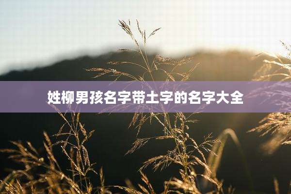 姓柳男孩名字带土字的名字大全