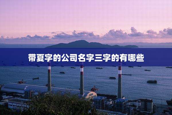 带夏字的公司名字三字的有哪些