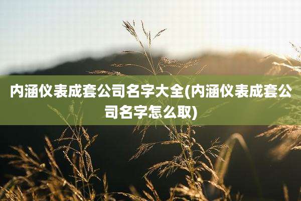 内涵仪表成套公司名字大全(内涵仪表成套公司名字怎么取)