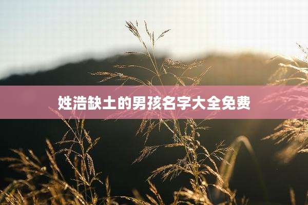 姓浩缺土的男孩名字大全免费