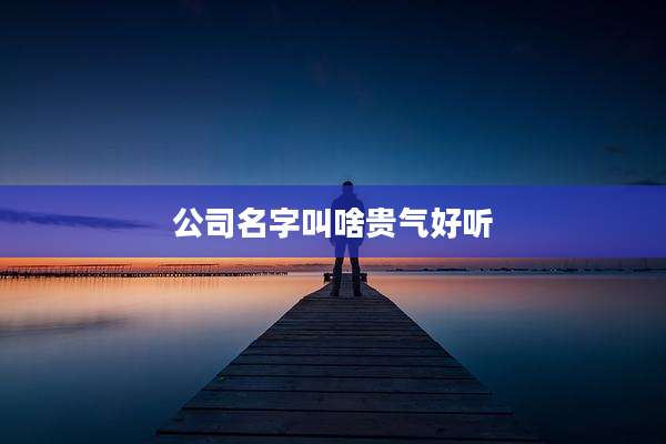 公司名字叫啥贵气好听