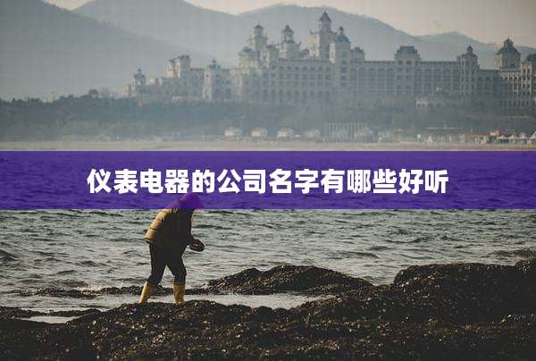 仪表电器的公司名字有哪些好听