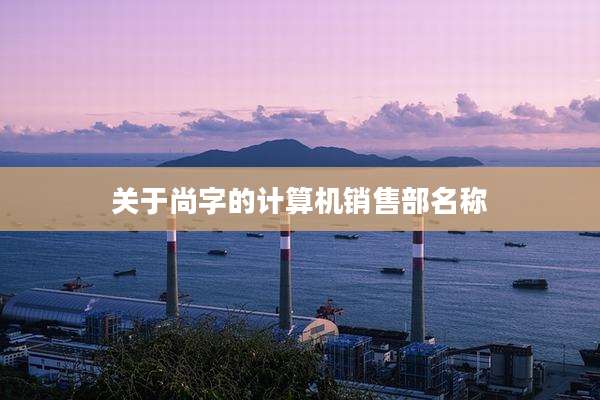 关于尚字的计算机销售部名称