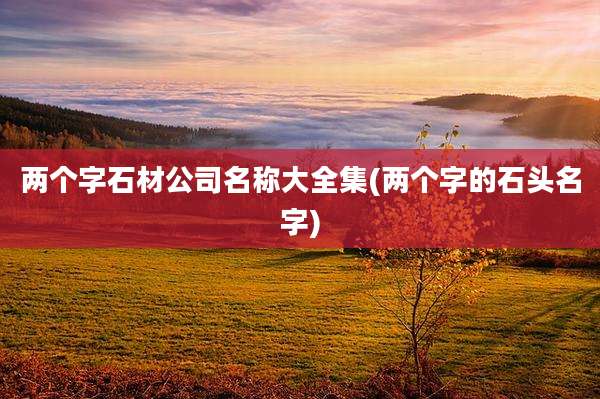 两个字石材公司名称大全集(两个字的石头名字)