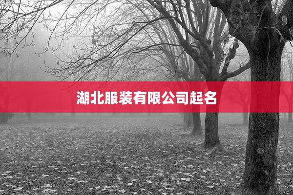 湖北服装有限公司起名