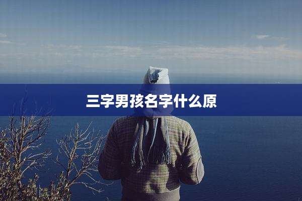 三字男孩名字什么原