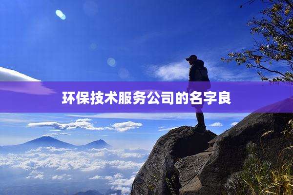 环保技术服务公司的名字良