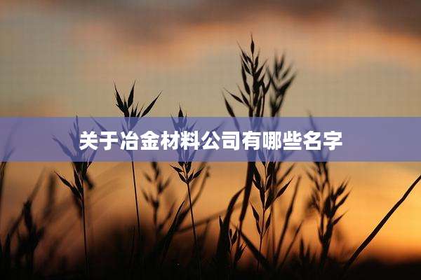 关于冶金材料公司有哪些名字