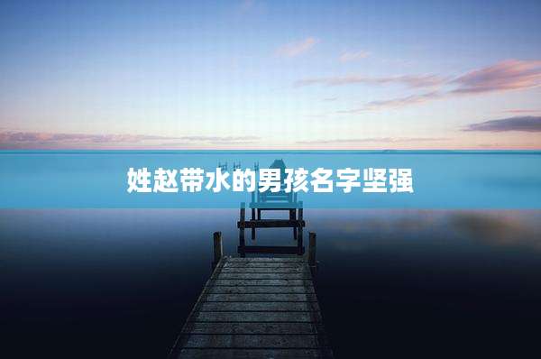 姓赵带水的男孩名字坚强