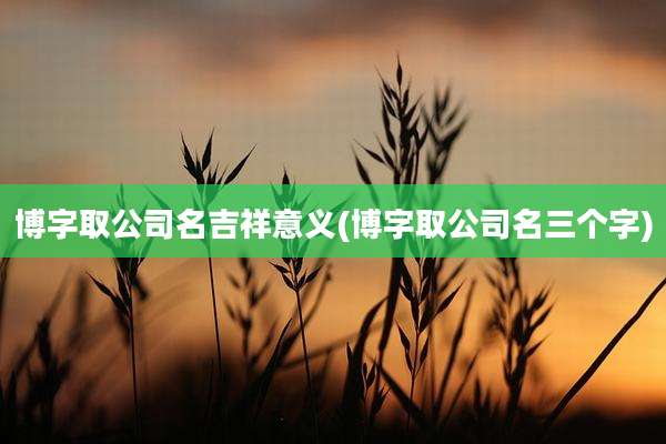 博字取公司名吉祥意义(博字取公司名三个字)