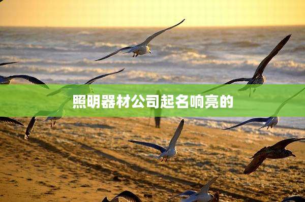 照明器材公司起名响亮的