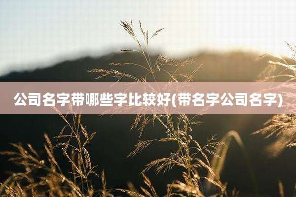 公司名字带哪些字比较好(带名字公司名字)