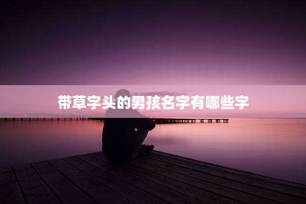 带草字头的男孩名字有哪些字