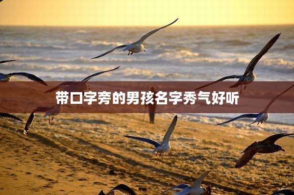带口字旁的男孩名字秀气好听