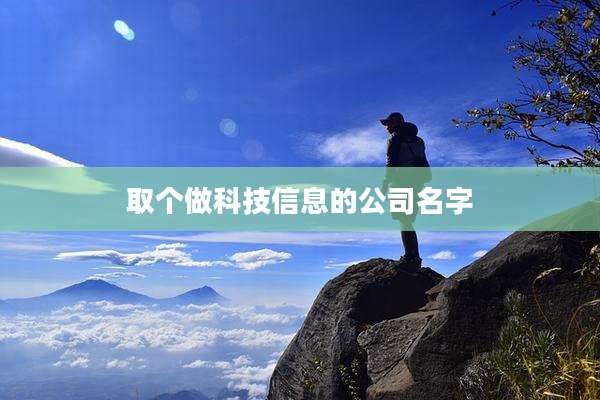 取个做科技信息的公司名字