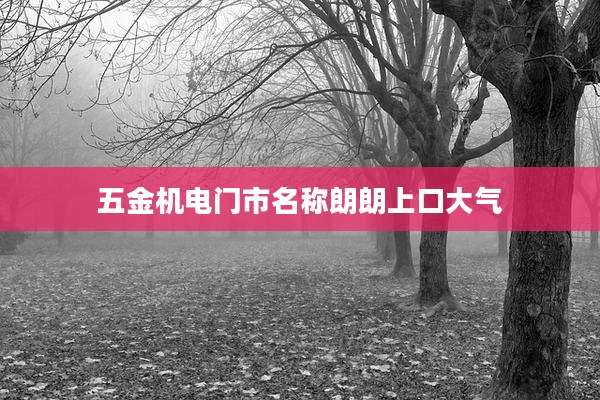 五金机电门市名称朗朗上口大气