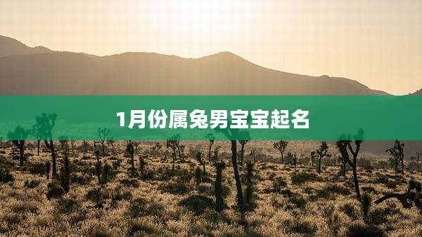 1月份属兔男宝宝起名