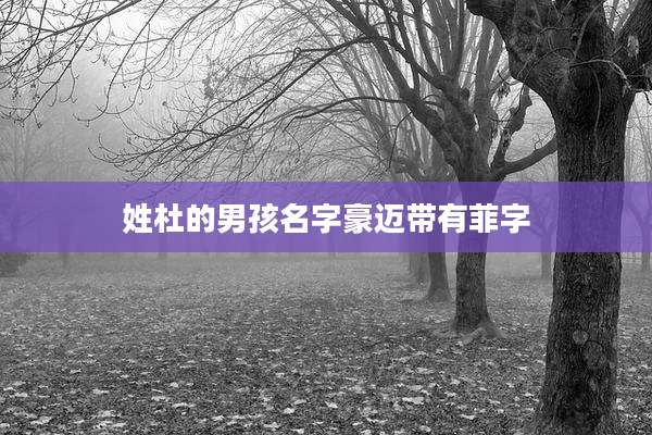 姓杜的男孩名字豪迈带有菲字