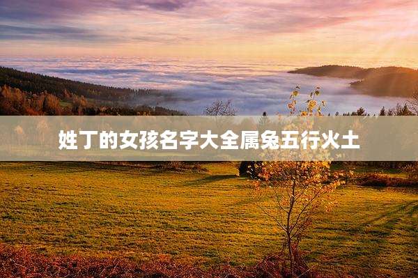 姓丁的女孩名字大全属兔五行火土