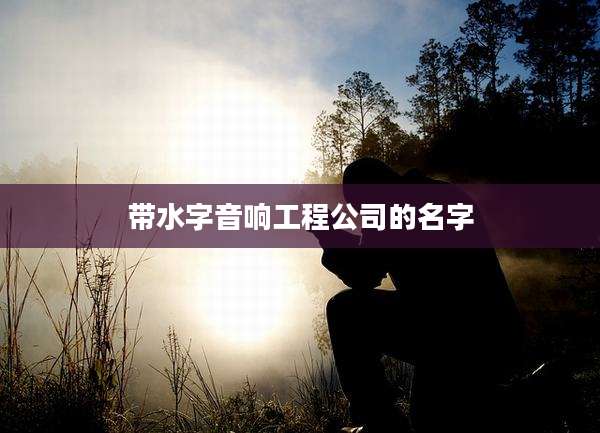 带水字音响工程公司的名字