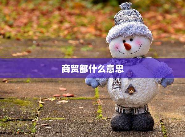 商贸部什么意思