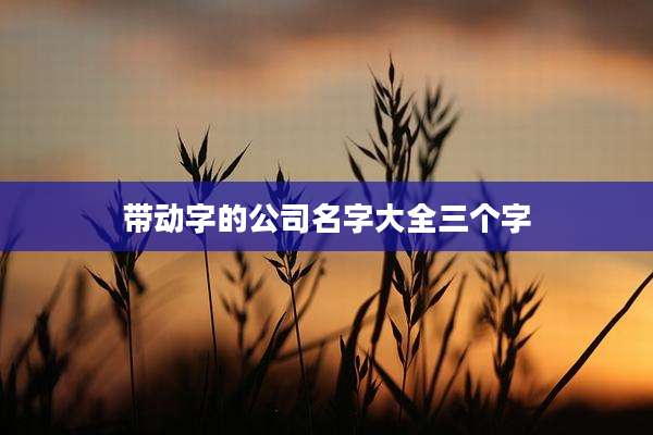带动字的公司名字大全三个字