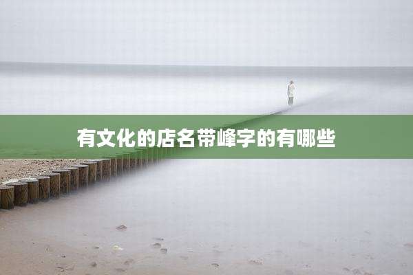有文化的店名带峰字的有哪些