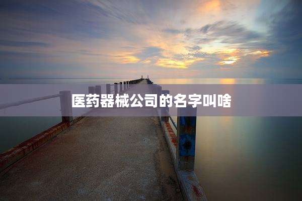 医药器械公司的名字叫啥