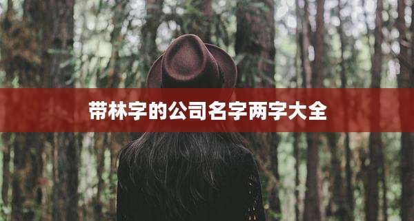 带林字的公司名字两字大全