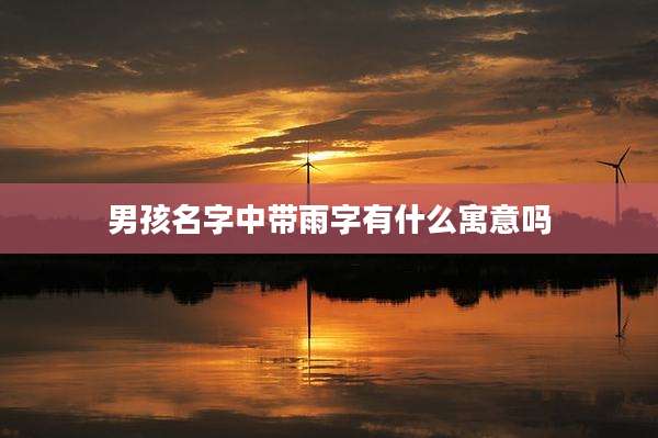 男孩名字中带雨字有什么寓意吗