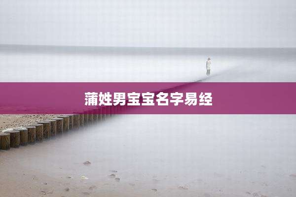 蒲姓男宝宝名字易经