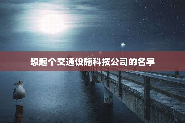 想起个交通设施科技公司的名字
