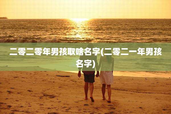 二零二零年男孩取啥名字(二零二一年男孩名字)