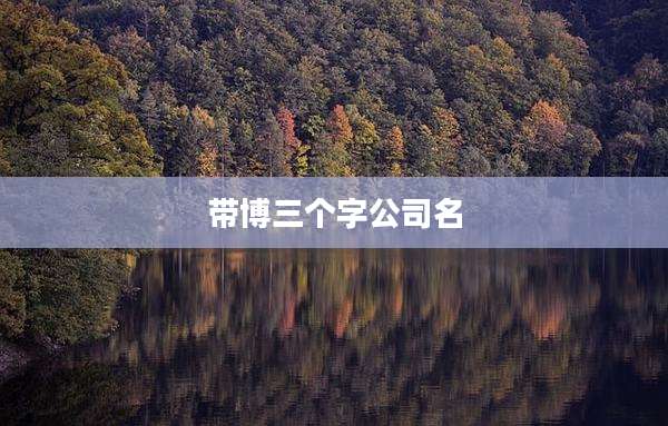 带博三个字公司名