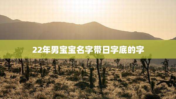 22年男宝宝名字带日字底的字