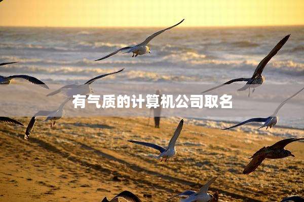 有气质的计算机公司取名