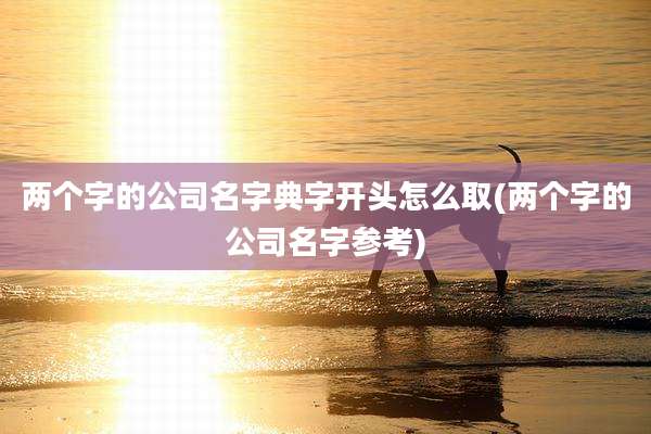 两个字的公司名字典字开头怎么取(两个字的公司名字参考)