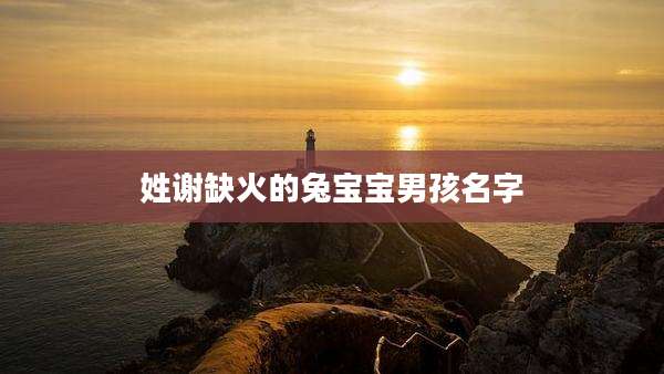 姓谢缺火的兔宝宝男孩名字