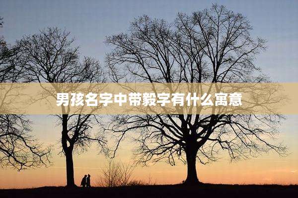 男孩名字中带毅字有什么寓意