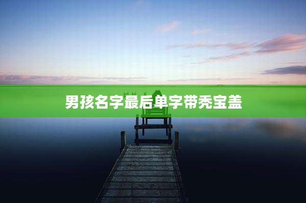 男孩名字最后单字带秃宝盖