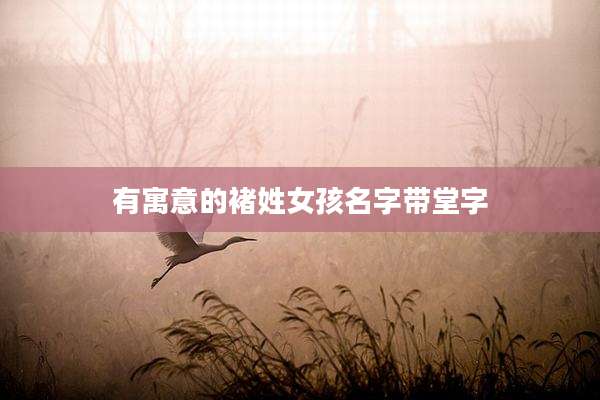 有寓意的褚姓女孩名字带堂字