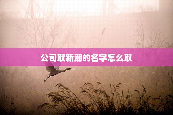 公司取新潮的名字怎么取
