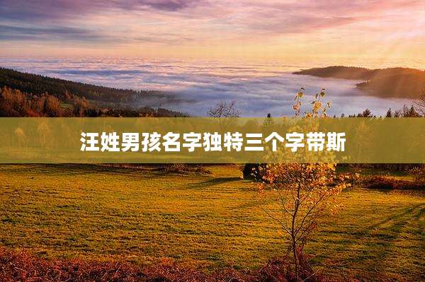 汪姓男孩名字独特三个字带斯