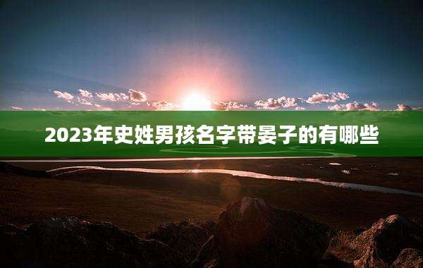 2023年史姓男孩名字带晏子的有哪些