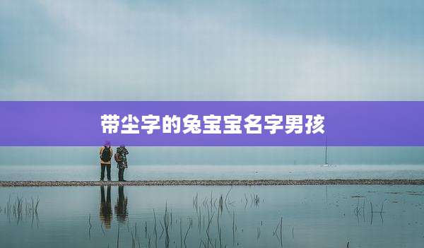 带尘字的兔宝宝名字男孩