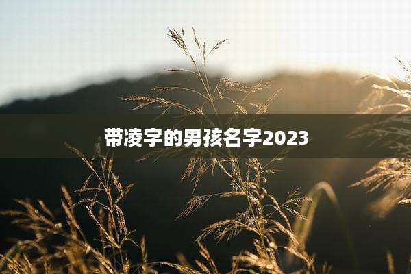 带凌字的男孩名字2023